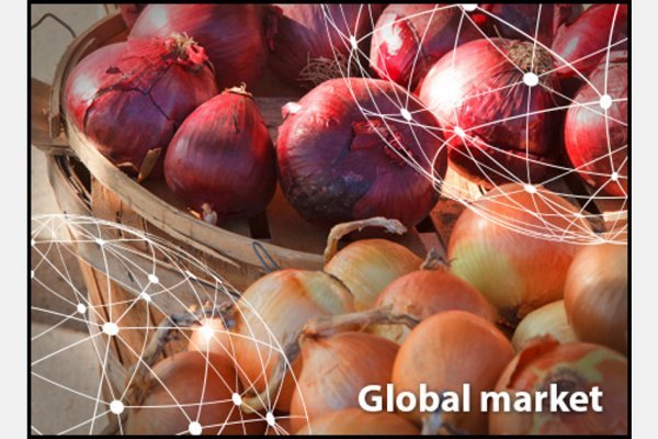 Работает ли кракен